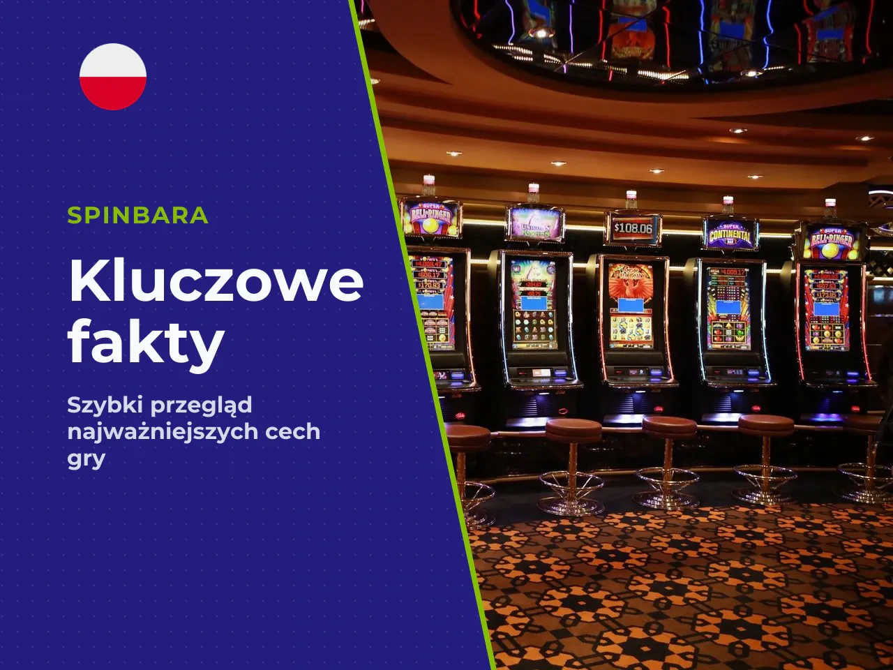 Najważniejsze fakty w 20 sekund
