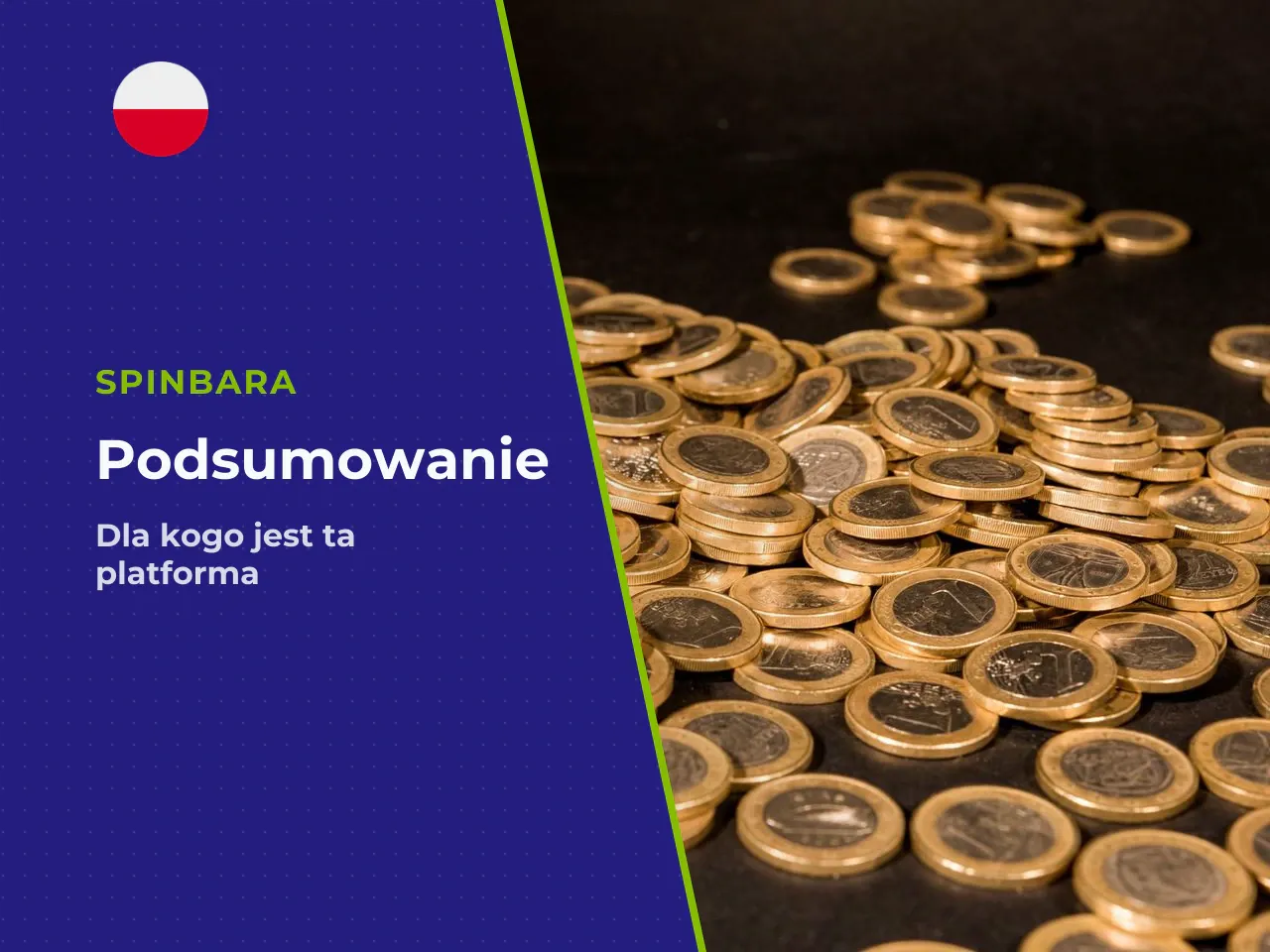 Podsumowanie dla kogo ta platforma, a