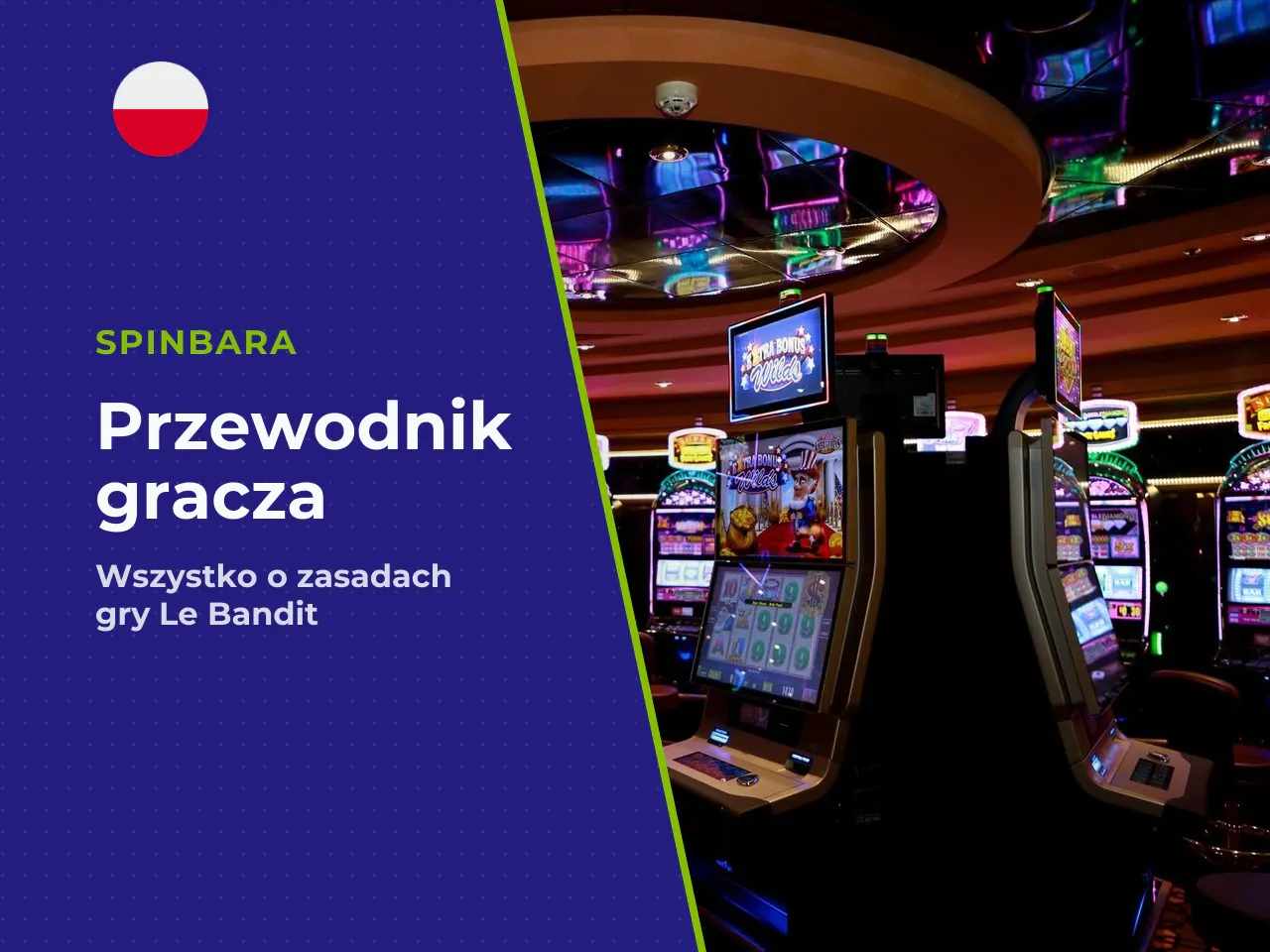Dla kogo przygotowaliśmy ten materiał. Tekst