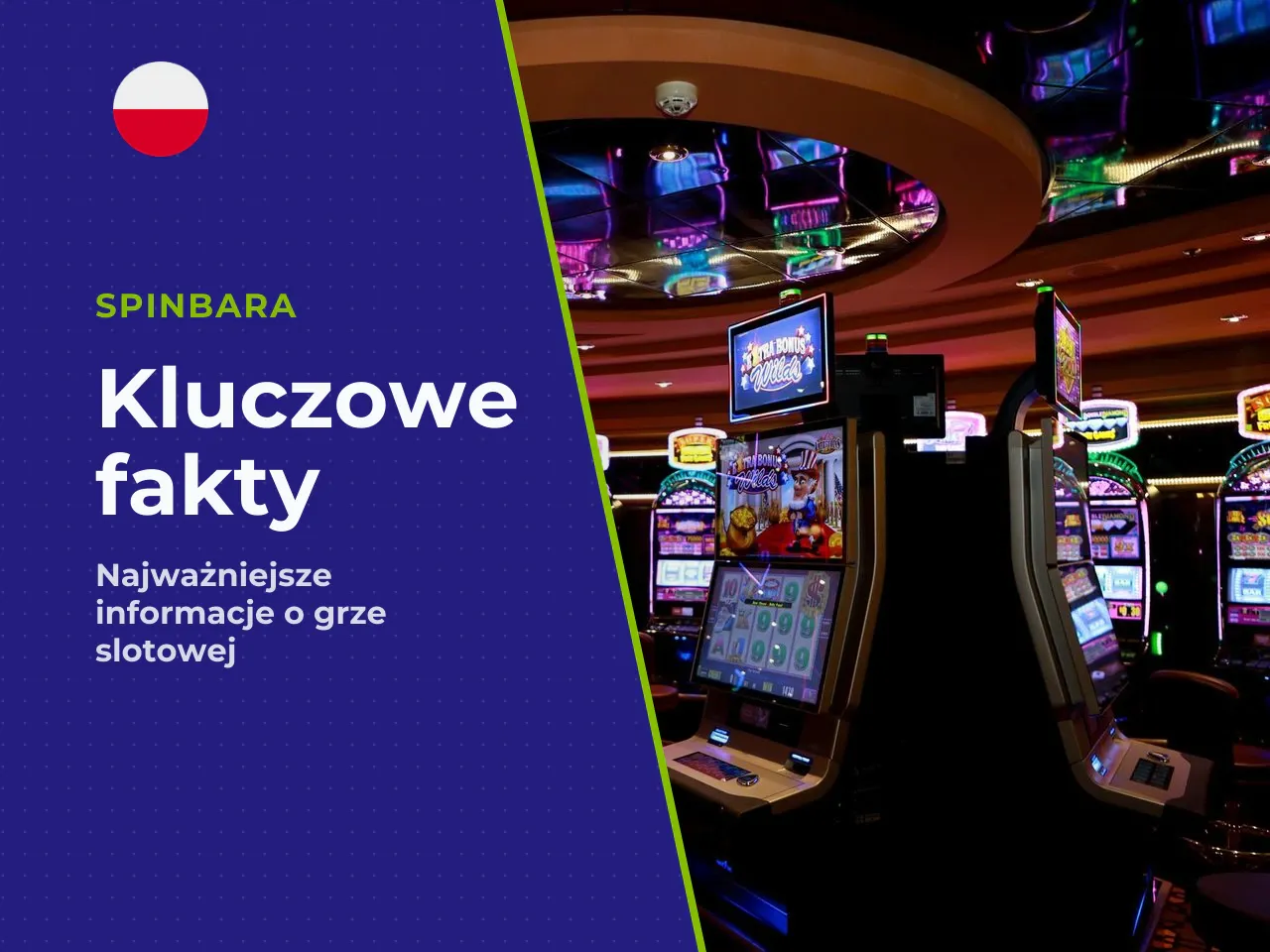 Najważniejsze fakty w pięciu punktach